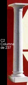 C2
