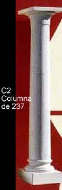 C2